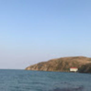 Meet your Posher, Dylan